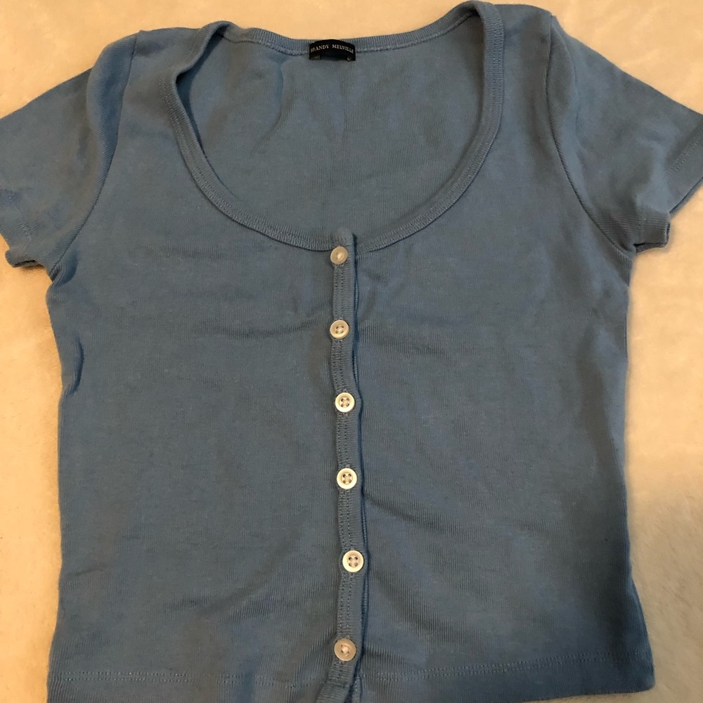 blue brandy melville cropped tee